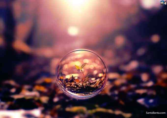 imerisies-provlepseis-zwdia-tetarti-21-5