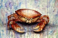 miniaies-erwtikes-zwdio-karkinos