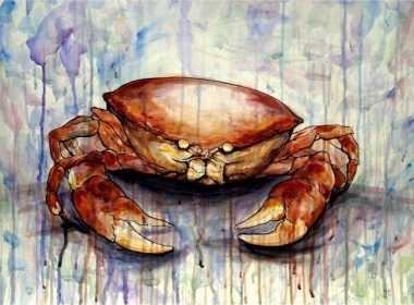 miniaies-erwtikes-zwdio-karkinos