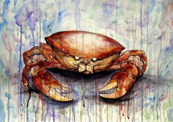 miniaies-erwtikes-zwdio-karkinos