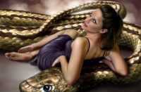 zwdia-antithesi-ilioy-ploytwna