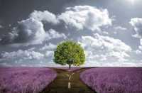 karma-karmikes-sxeseis