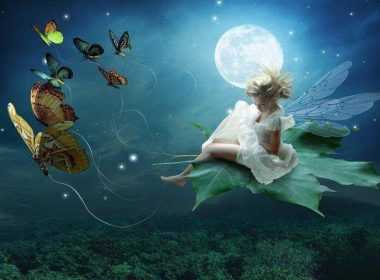 panselinos-zwdio-ydroxoos