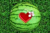 zwdia-erwtikes-21-7-14