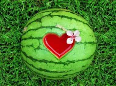 zwdia-erwtikes-21-7-14