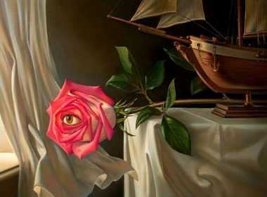 zwdia-imerisies-22-7-14