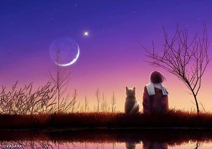 zwdia-nea-selini-lewn