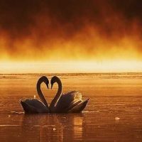 Ζωδια Σαββατοκυριακο 27-28/12 💥 Η αλήθεια είναι ο μόνος τρόπος