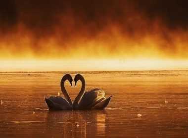 zwdia-trito-dekaimero-oktwvrioy